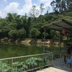宝安附近钓鱼场位置和收费-第1张图片-彩蝶百科 宝安附近钓鱼场位置和收费-第1张图片-彩蝶百科