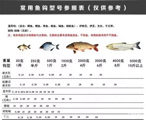 快乐垂钓ftt怎么参加-第1张图片-彩蝶百科