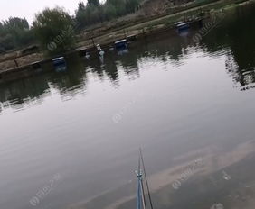 龙湖垂钓中心-第1张图片-彩蝶百科 龙湖垂钓中心-第1张图片-彩蝶百科
