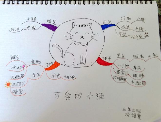 宠物家具思维导图图片模板-第1张图片-彩蝶百科