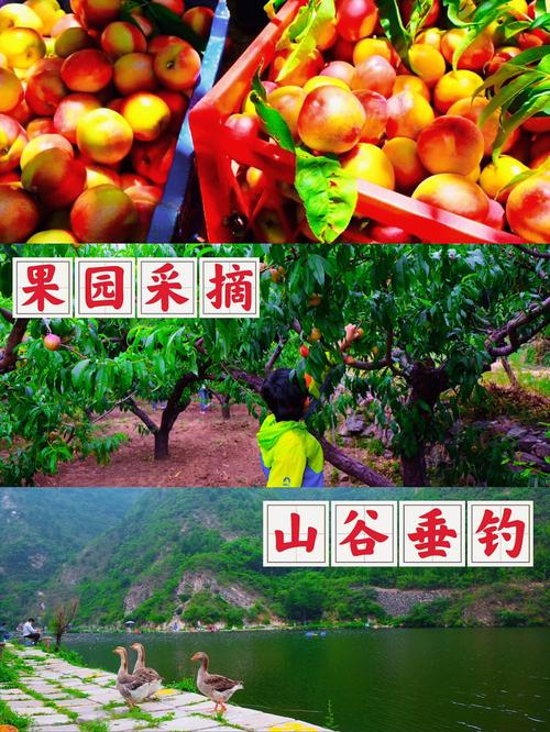 汇福大酒店订餐电话-第1张图片-彩蝶百科