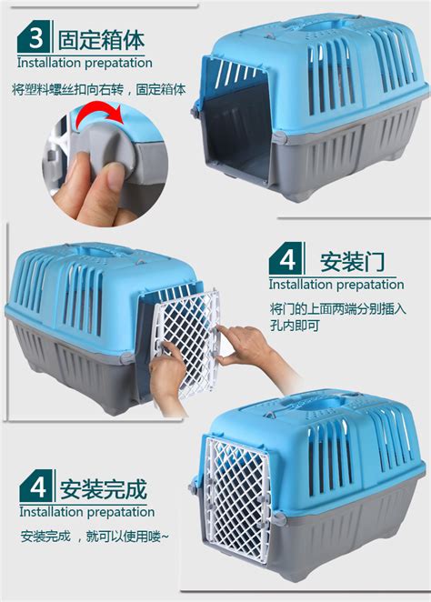 杭州机场宠物托运-第1张图片-彩蝶百科 杭州机场宠物托运-第1张图片-彩蝶百科