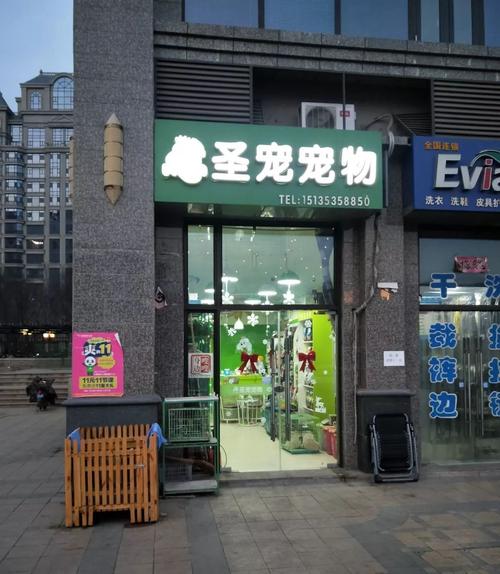 山西高平市宠物店在哪个位置-第1张图片-彩蝶百科 山西高平市宠物店在哪个位置-第1张图片-彩蝶百科