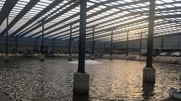 南宁垂钓温室大棚出租-第1张图片-彩蝶百科