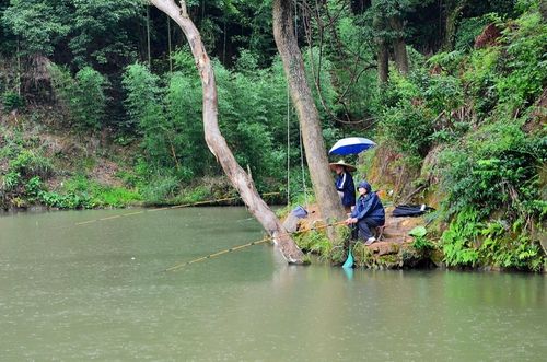 下雨天钓鱼说说心情短语-第1张图片-彩蝶百科 下雨天钓鱼说说心情短语-第1张图片-彩蝶百科
