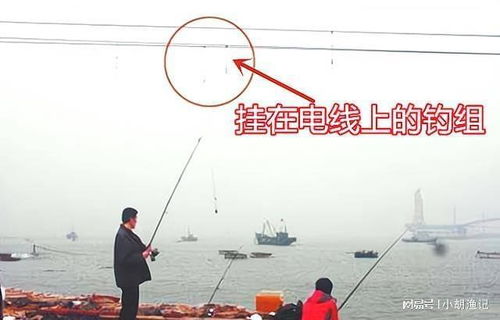 海竿铅坠在什么位置最佳-第1张图片-彩蝶百科 海竿铅坠在什么位置最佳-第1张图片-彩蝶百科