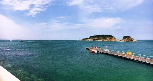 营口海钓能钓到几月份-第1张图片-彩蝶百科