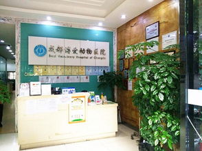 1.确保专业资质-第1张图片-彩蝶百科 1.确保专业资质-第1张图片-彩蝶百科