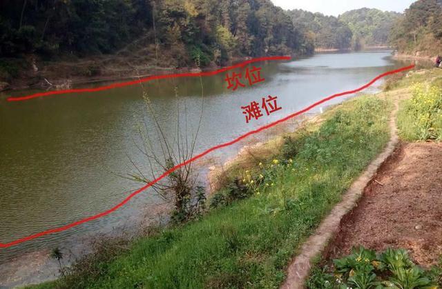 如何寻找钓鱼地点-第1张图片-彩蝶百科