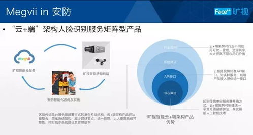 1.《大数据安全概述》-第1张图片-彩蝶百科