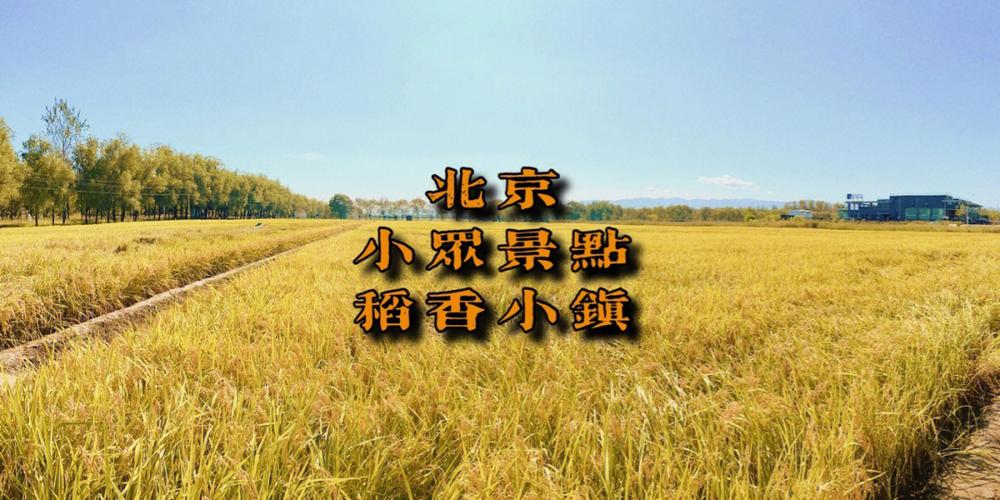 稻香垂钓园电话-第1张图片-彩蝶百科