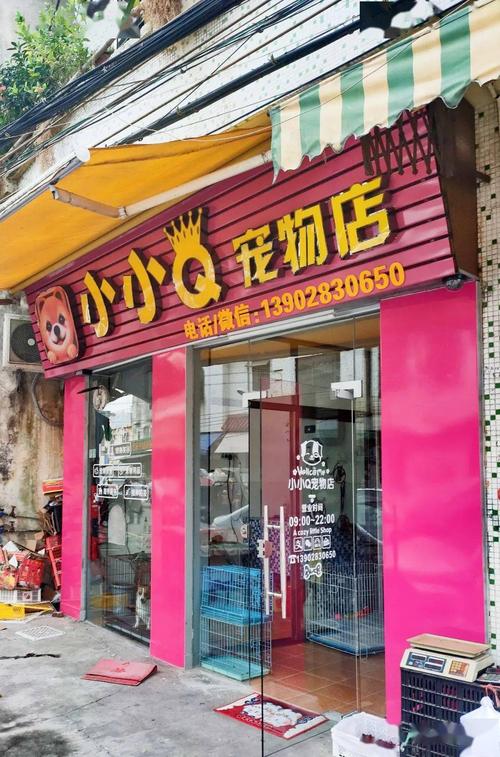 常熟市宠物市场-第1张图片-彩蝶百科 常熟市宠物市场-第1张图片-彩蝶百科
