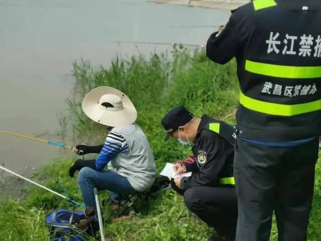 渔业法对于娱乐性垂钓的规定-第1张图片-彩蝶百科