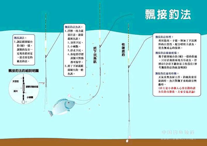 一、选择合适的钓竿和渔具-第1张图片-彩蝶百科