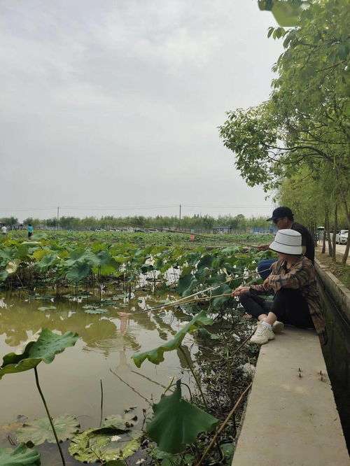 古塘村垂钓中心电话-第1张图片-彩蝶百科