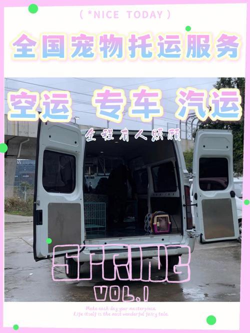 重庆到江苏宠物托运要多久-第1张图片-彩蝶百科
