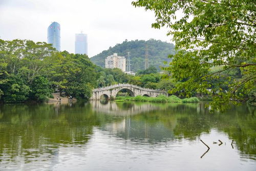 兴平垂钓园-第1张图片-彩蝶百科