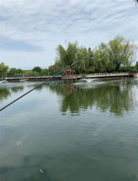 通惠河垂钓指南-第1张图片-彩蝶百科