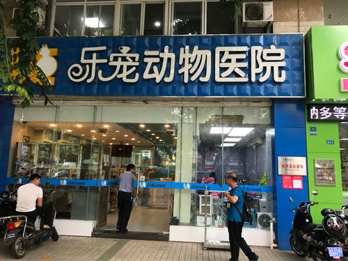 1.定期体检和疫苗接种-第1张图片-彩蝶百科