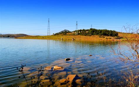 昭阳区垂钓场-第1张图片-彩蝶百科 昭阳区垂钓场-第1张图片-彩蝶百科