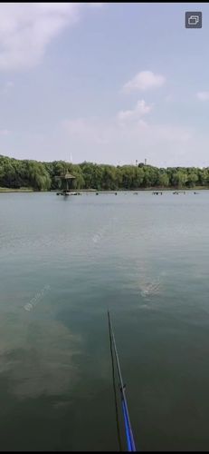 湖北二师属于好学校吗-第1张图片-彩蝶百科