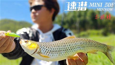 野钓山体水库怎么选位置-第1张图片-彩蝶百科 野钓山体水库怎么选位置-第1张图片-彩蝶百科