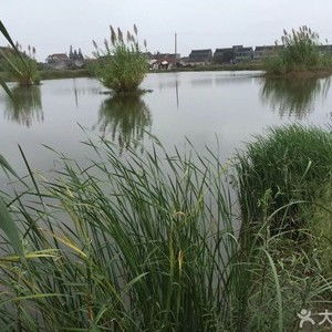 上犹江水库钓鱼-第1张图片-彩蝶百科
