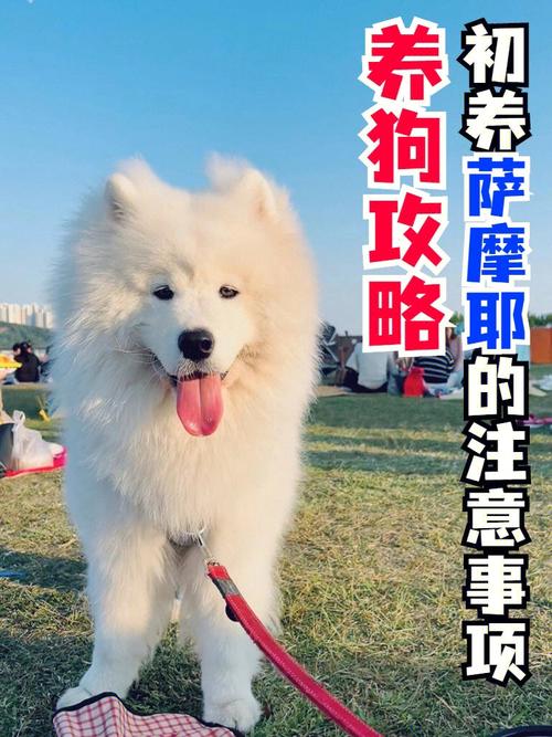不得养宠物-第1张图片-彩蝶百科 不得养宠物-第1张图片-彩蝶百科