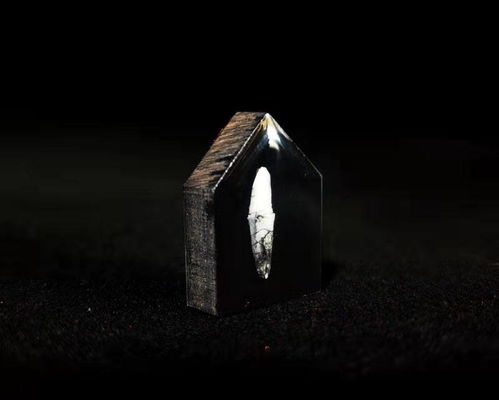 宠物骨灰寄存：纪念宠物的永恒方式-第1张图片-彩蝶百科