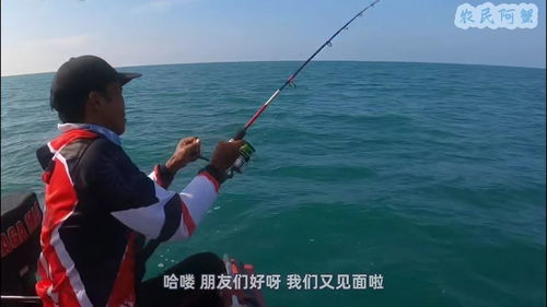 太阳下垂钓技巧指南-第1张图片-彩蝶百科