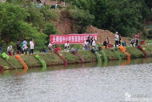 小龙虾垂钓园如何整体规划-第1张图片-彩蝶百科