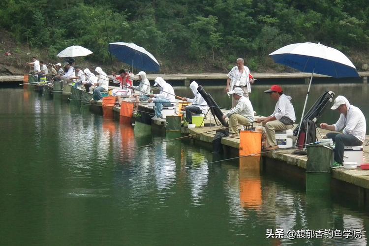 天津垂钓中心农家乐-第1张图片-彩蝶百科