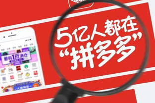 拼多多大数据怎么关注好友-第1张图片-彩蝶百科