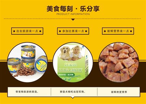 常州宠物食品物流解析-第1张图片-彩蝶百科