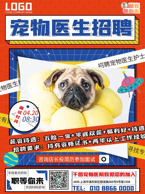 哈尔滨宠物医院-第1张图片-彩蝶百科 哈尔滨宠物医院-第1张图片-彩蝶百科