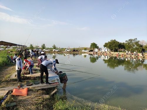 仁寿县黑龙滩水库-第1张图片-彩蝶百科 仁寿县黑龙滩水库-第1张图片-彩蝶百科