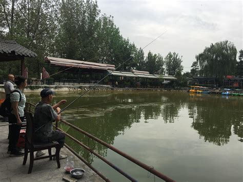 贵州农家乐垂钓指南-第1张图片-彩蝶百科 贵州农家乐垂钓指南-第1张图片-彩蝶百科