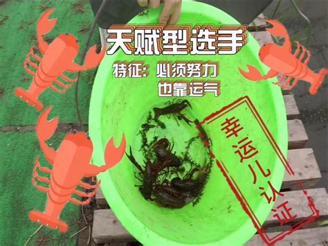龙虾垂钓园收费方式和注意事项-第1张图片-彩蝶百科