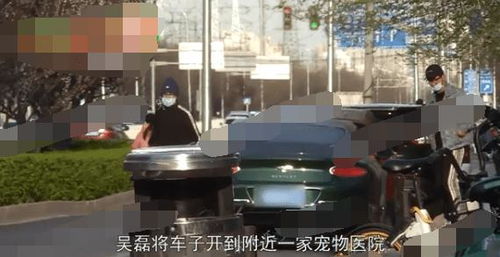 天津津南宠物救助站-第1张图片-彩蝶百科