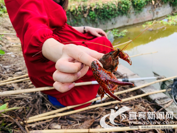 龙城垂钓休闲中心-第1张图片-彩蝶百科 龙城垂钓休闲中心-第1张图片-彩蝶百科