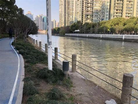 黄浦江垂钓区在哪里-第1张图片-彩蝶百科 黄浦江垂钓区在哪里-第1张图片-彩蝶百科