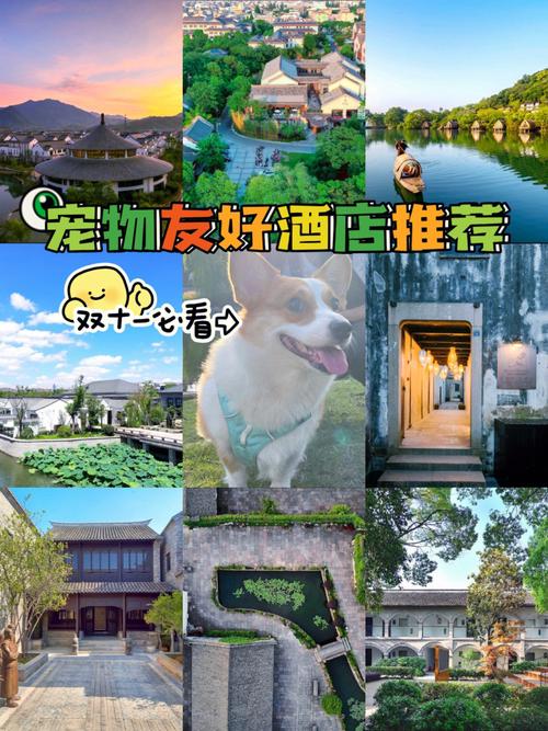 杭州宠物友好酒店-第1张图片-彩蝶百科