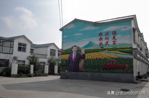 石桥镇宠物店在哪里-第1张图片-彩蝶百科