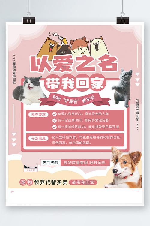 建立与宠物的信任:重要性及技巧-第1张图片-彩蝶百科 建立与宠物的信任:重要性及技巧-第1张图片-彩蝶百科