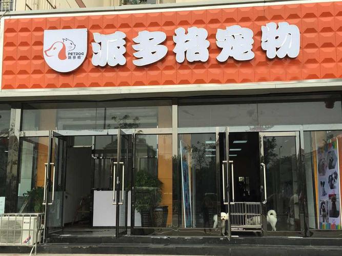 周口宠物市场-第1张图片-彩蝶百科
