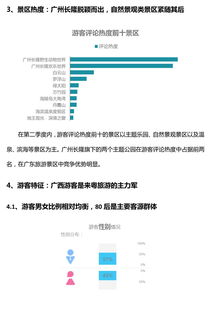 旅游公司调查报告总结-第1张图片-彩蝶百科