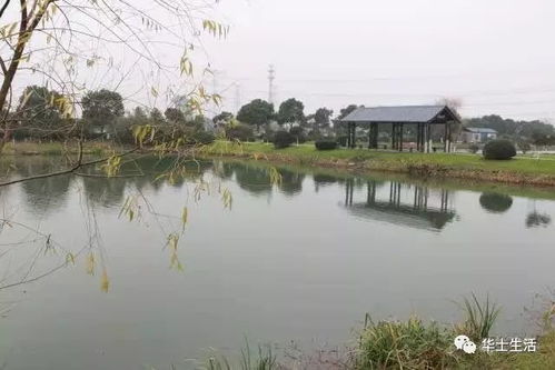 农庄式休闲垂钓经营管理-第1张图片-彩蝶百科
