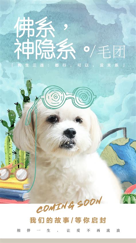 宠物服装-第1张图片-彩蝶百科 宠物服装-第1张图片-彩蝶百科