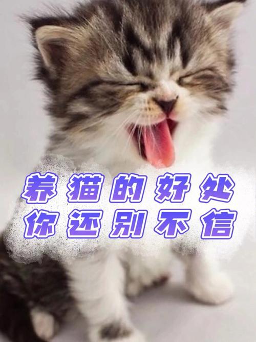 改善性格养宠物好吗-第1张图片-彩蝶百科 改善性格养宠物好吗-第1张图片-彩蝶百科