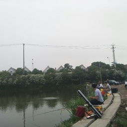 营寨垂钓中心地址-第1张图片-彩蝶百科